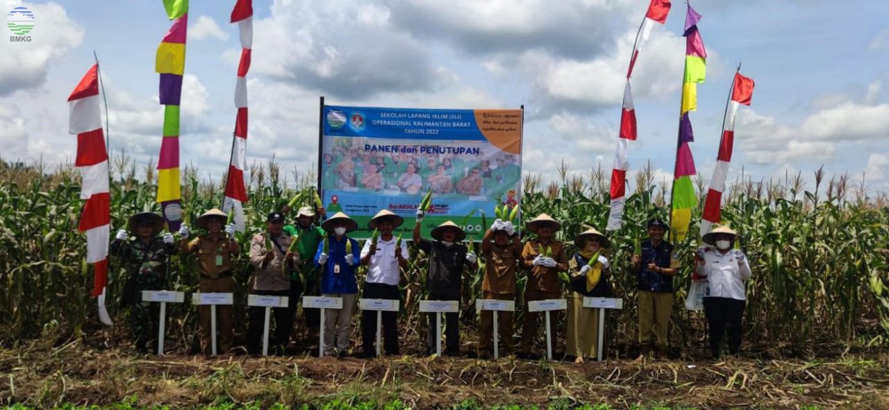 Panen Jagung Bersama, Momen Manis Menutup Sekolah Lapang Iklim Operasional Provinsi Kalimantan Barat Tahun 2022 di Kabupaten Kubu Raya
